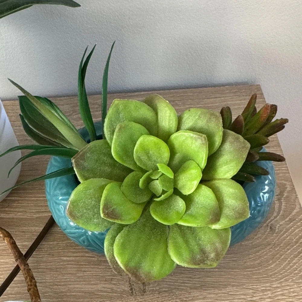 Target Faux Plant + Succulents